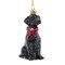 KSA Pack of 6 Black Labrador Retriever Christmas Ornaments 4.25"